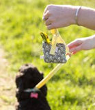 black dog walking on leash 